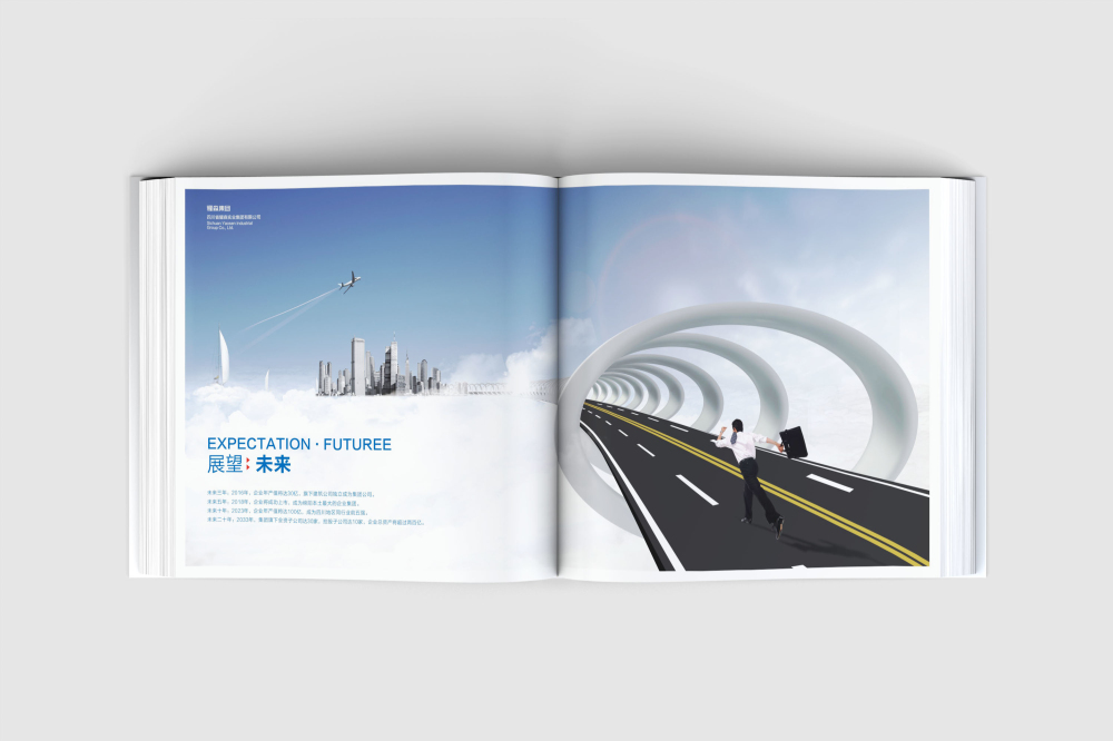 湖里区画册设计